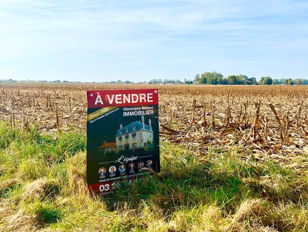 vente terrain 3299 m² glannes (51300)