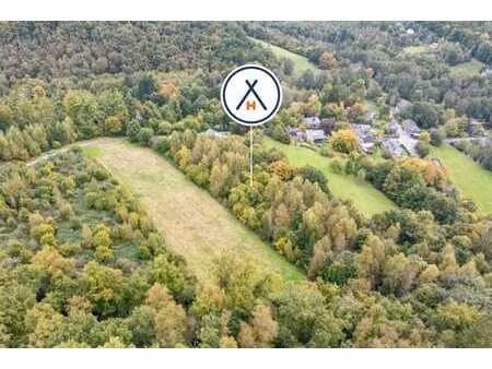 magnifique terrain à bâtir dans un océan de verdure