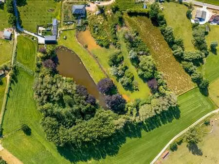 exquise villa avec bien-être et nature sur 4 hectares.