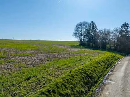 4530 vieux-waleffe — terrain à vendre