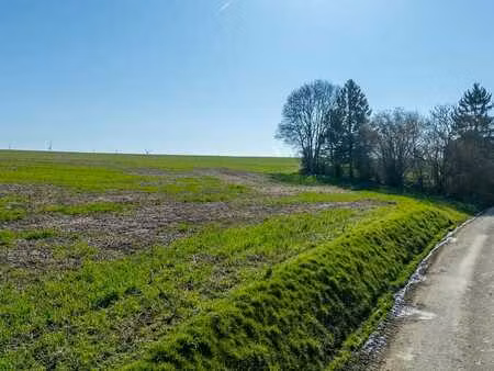 4530 vieux-waleffe — terrain à vendre