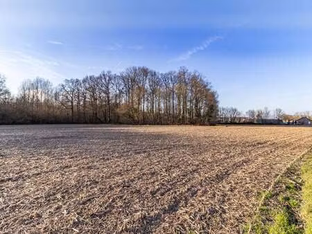 terrain à vendre à kampenhout € 25.000 (lmgbo) - new immo service | zimmo