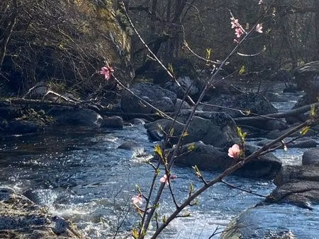 cherche maison à louer