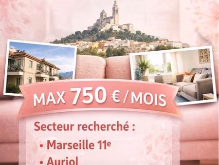 recherche appartement t2 si possible