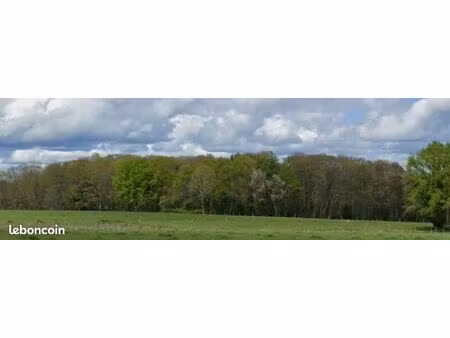 parcelles boisées (x2)