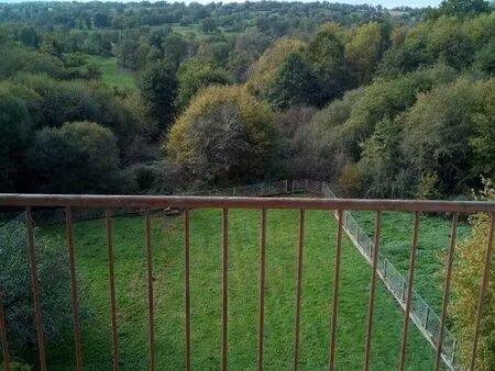 grand t3 traversant très lumineux avec balcon et parking