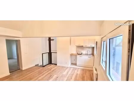 appartement 48m2 lumineux