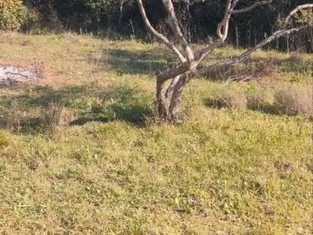 cherche terrain à louer