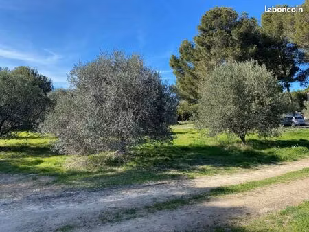 terrain 465 m² saint chamas