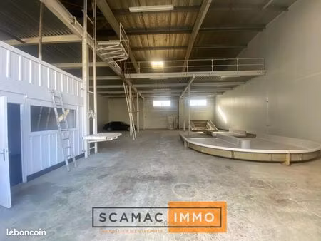 local industriel 667 m²