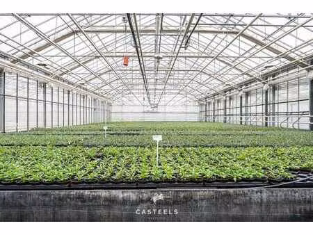 site horticole moderne de 1 98 ha avec maison d'entreprise à