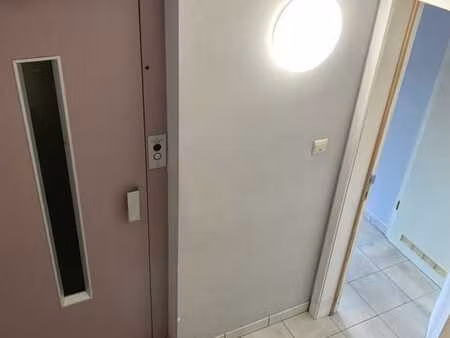 charmant appart lumineux à meiser - quartier reyers