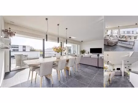 appartement à louer à meensesteenweg 201 courtrai (rbv55083)