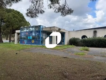 location local d'activités 318 m² à 773 m²