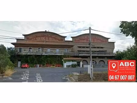 vente local d’activités pouzolles 34480 4500m²