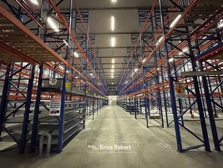 vente entrepôt 5 347 m²