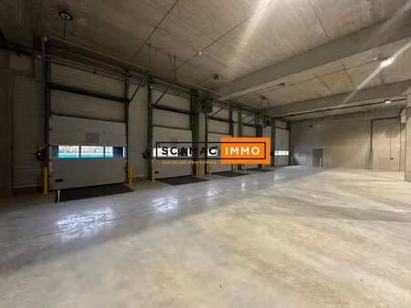location entrepôt 3 445 m²