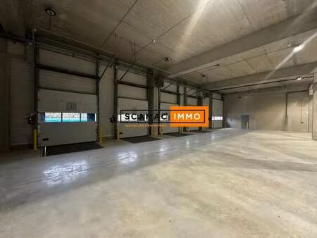 location entrepôt 3 445 m²