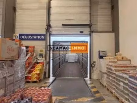 location entrepôt 2 244 m²