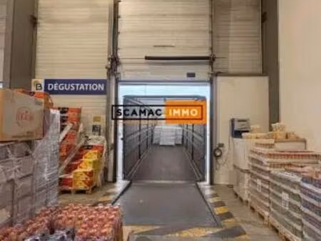 location entrepôt gennevilliers 92230 156m² à 2244m²