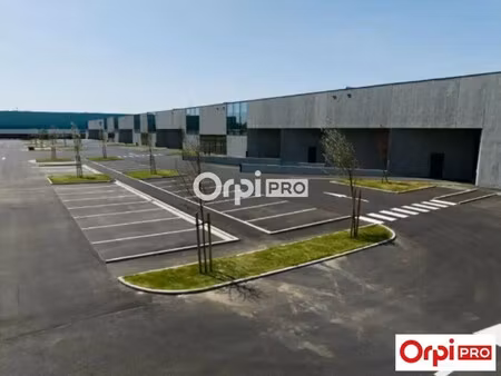 location entrepôt 520 m²