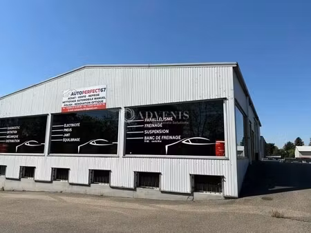 location local d’activités illkirch graffenstaden 67400 600m²