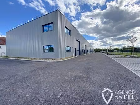 location local d’activités saint hippolyte 68590 381m²
