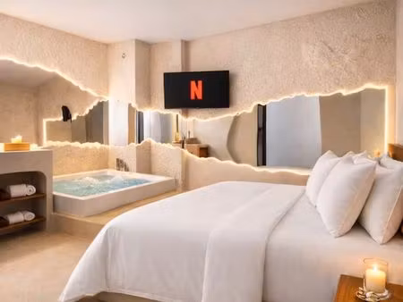 appartement cannes centre-ville