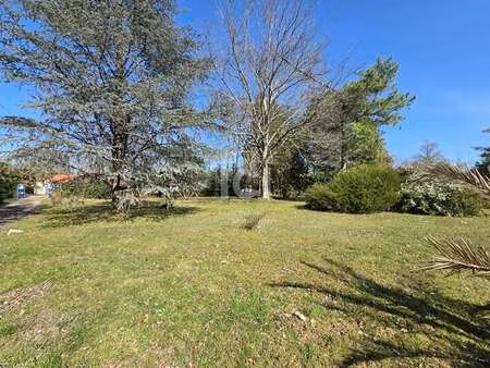 vente terrain à saint-aignan-grandlieu (44860) : à vendre / 1000m² saint-aignan-grandlieu