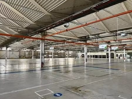 location commerce 12 000 m²