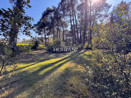 terrain à bâtir 3 000 m2 eysines secteur résidentiel env