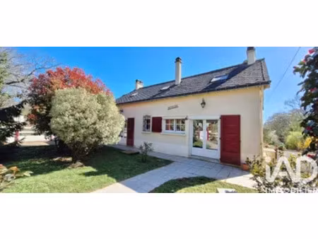 maison de village à guémené-penfao (44290)