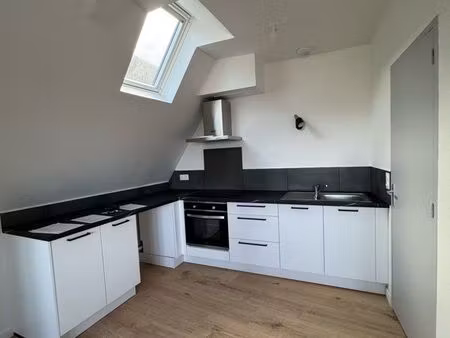 à louer t3 refait à neuf