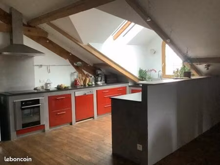 appartement de charme - style loft - 106 m2 carrez ( 160 m2 au sol )