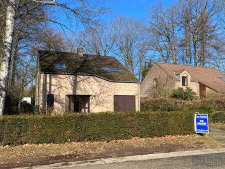 maison à louer à kessel-lo € 1.485 (lmhx5) - immo ruelens | zimmo