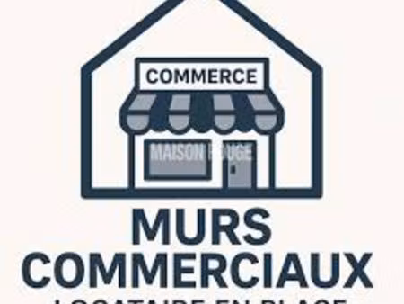 vente immeuble 176 m² mareuil-sur-lay-dissais (85320)