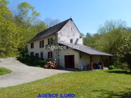 proximite oloron - belle ferme renovee au calme sur plus de 7 ha de terres libres (bois)..