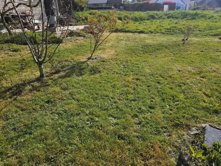 vente terrain à châteaubriant centre (44110) : à vendre / châteaubriant centre