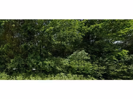 vente terrain 6381 m² à corme-royal (17600)  4 990 €