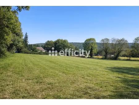 vente terrain 2930 m² à maspie-lalonquère-juillacq (64350)  35 000 €