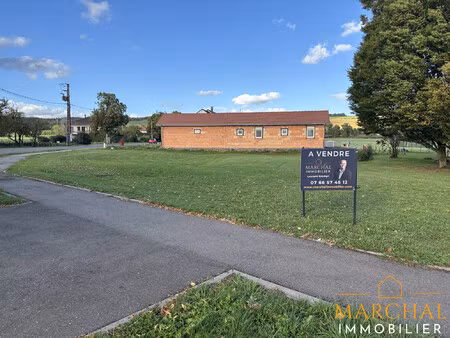 terrain constructible