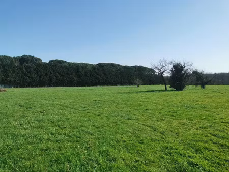 vente terrain 995 m² à coimères (33210)  69 000 €