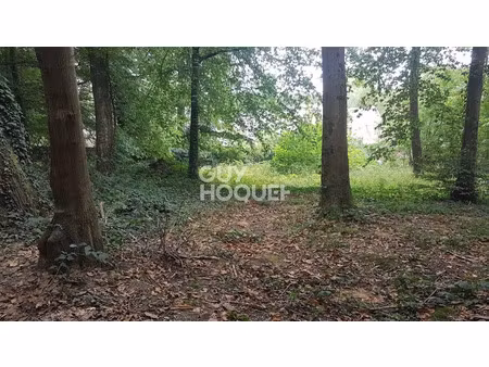 vente terrain 467 m² à l'etang-la-ville (78620)  49 900 €