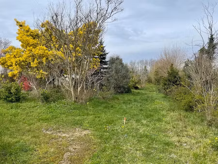 vente terrain 1200 m² à romagne (33760)  75 000 €