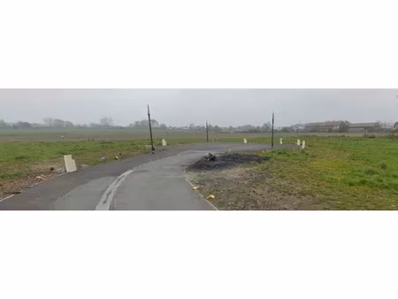vente terrain 496 m² à lallaing (59167)  50 500 €