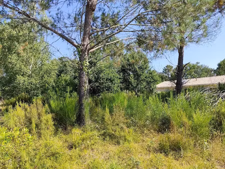 vente terrain 750 m² à vendays-montalivet (33930)  75 000 €