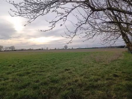 vente terrain 431 m² à semblançay (37360)  65 000 €