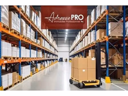 location commerce 160 m²