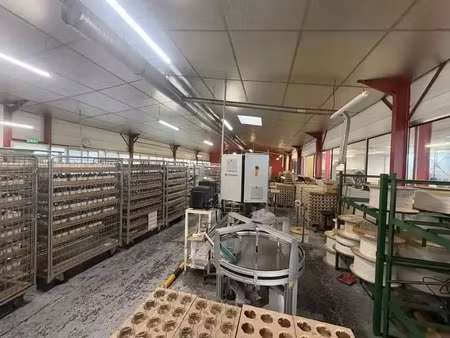 vente local d'activités 1 230 m²