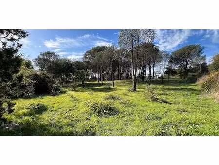 terrain grimaud (83)